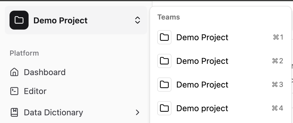 Project switcher